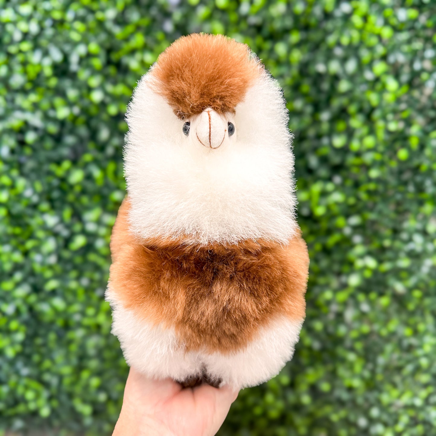 Alpaca Fur Stuffed Animal - 8" Standing Alpaca