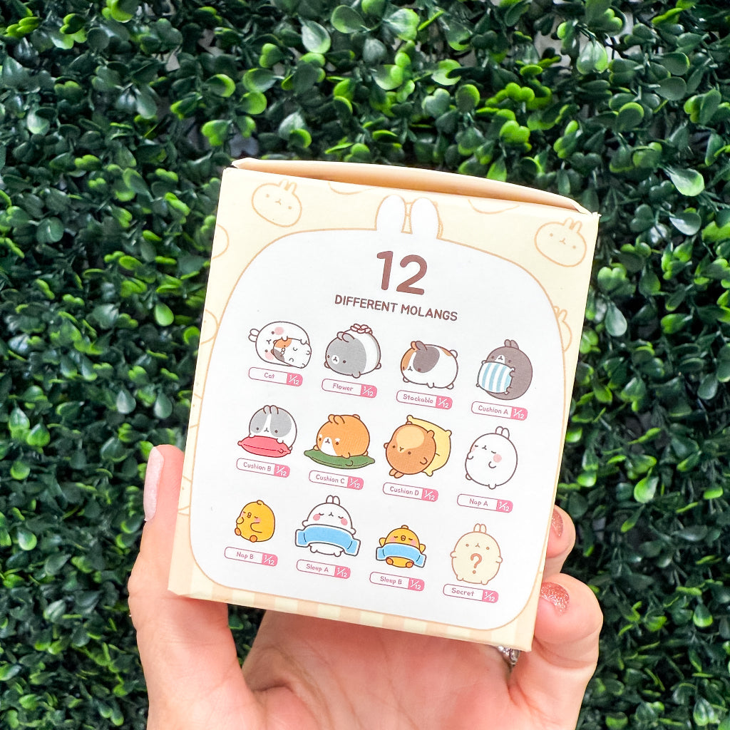 Molang Series 3 – Sleeping Friends (Bedtime) Authentic Blind Box